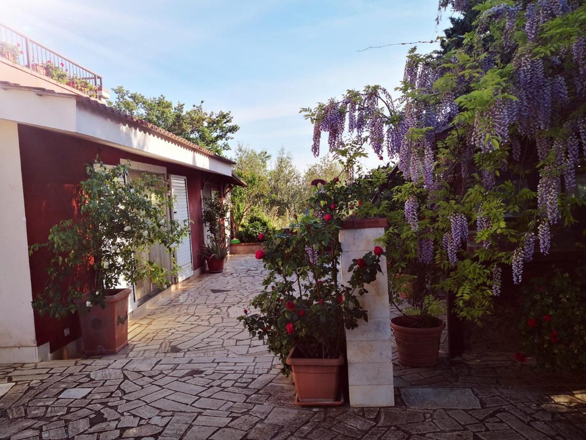 B&B Villa Lena Turi Exterior foto